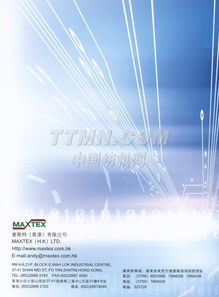 探索TTMN在计算机技术开发中的应用与前景