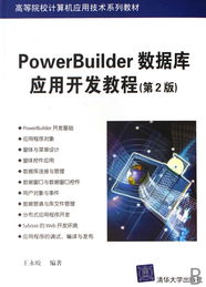 PowerBuilder数据库应用开发教程 高等院校计算机应用技术系列教材的核心课程